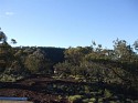 DSCF2525 (Medium).JPG